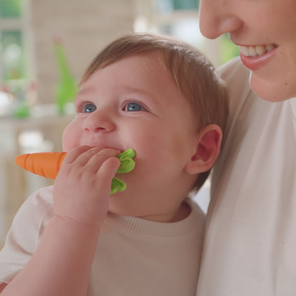 Carrot Teether Set (2 Pack) #294KM