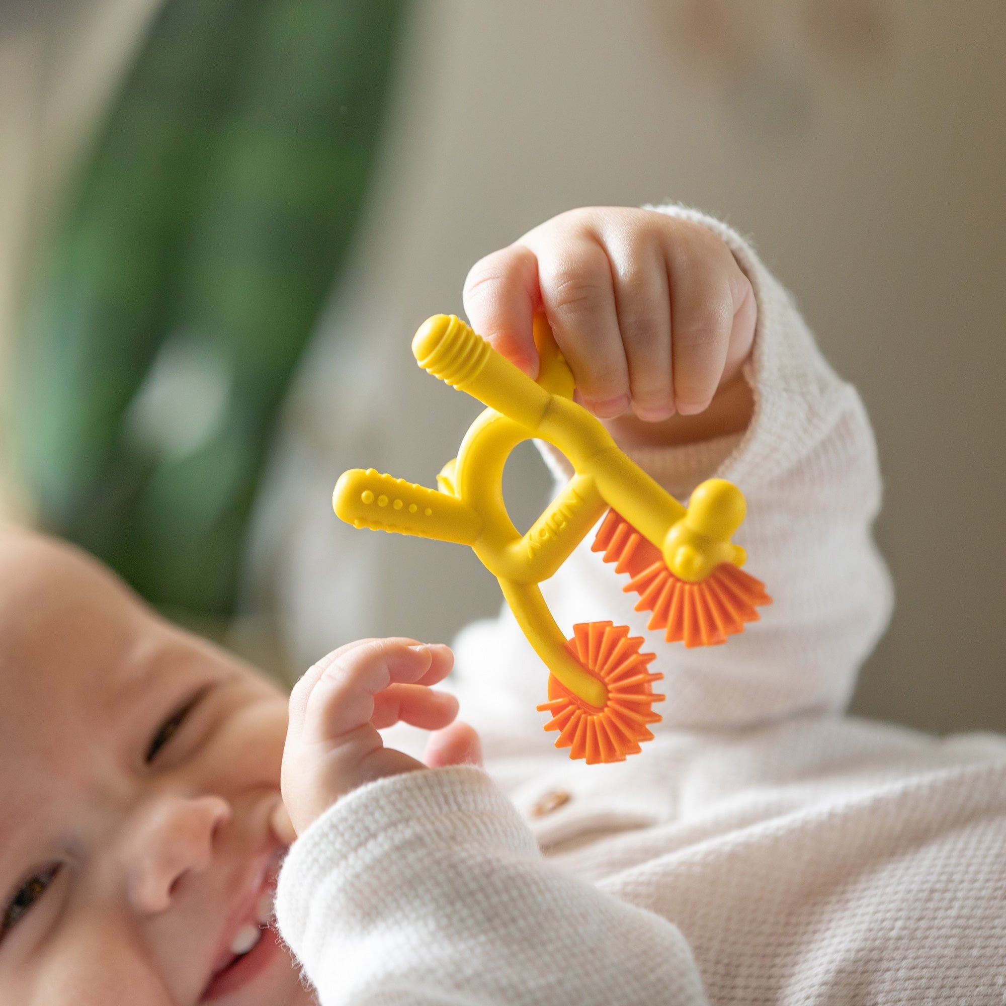 Geo Zoo Silicone Teether #212TD
