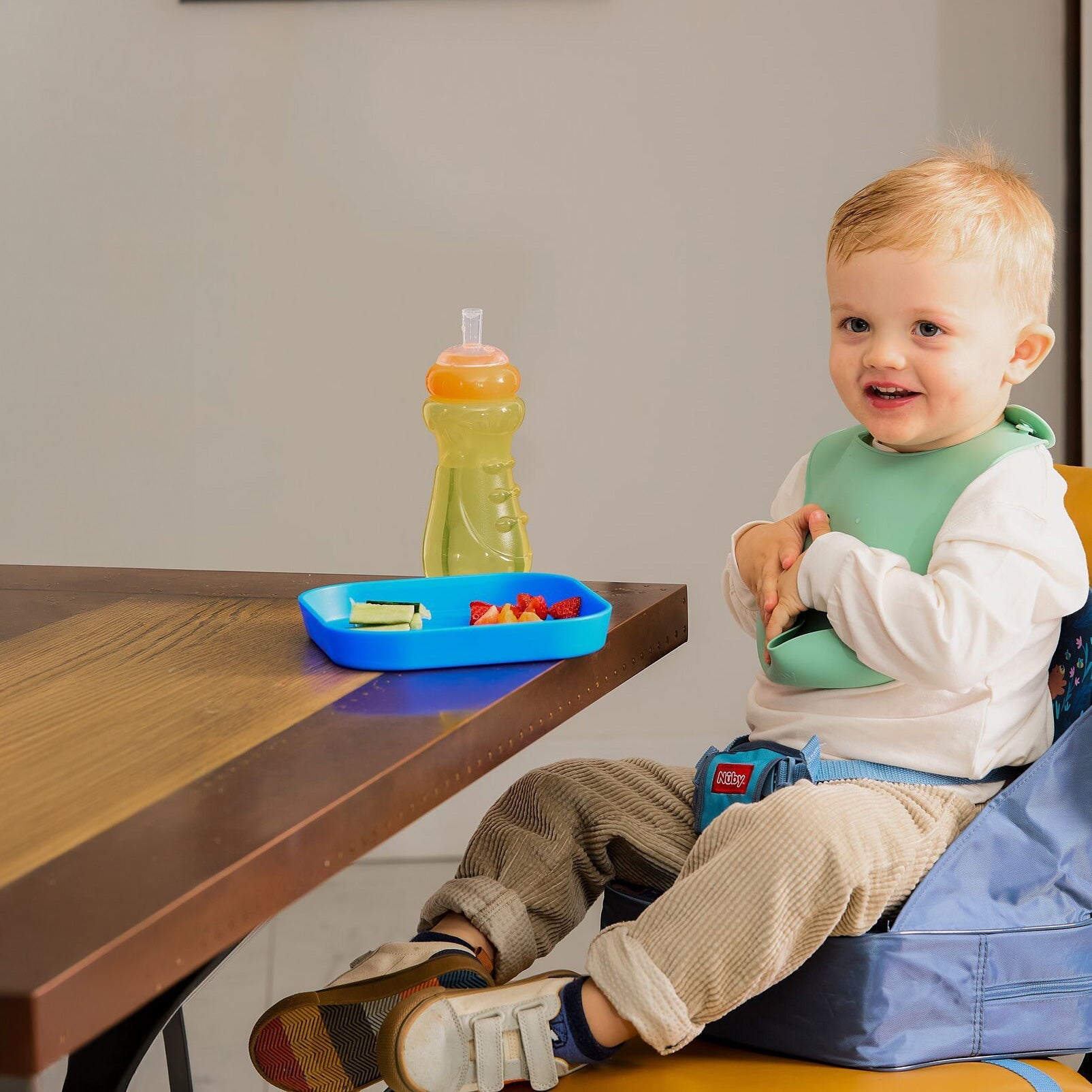 Easy Go High Chair Booster Seat | Bears #234B7