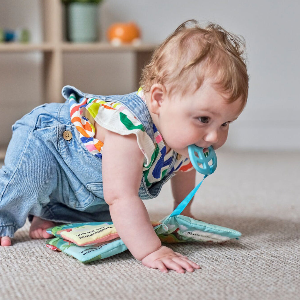 Baby Sensory Book | Dino #316XE