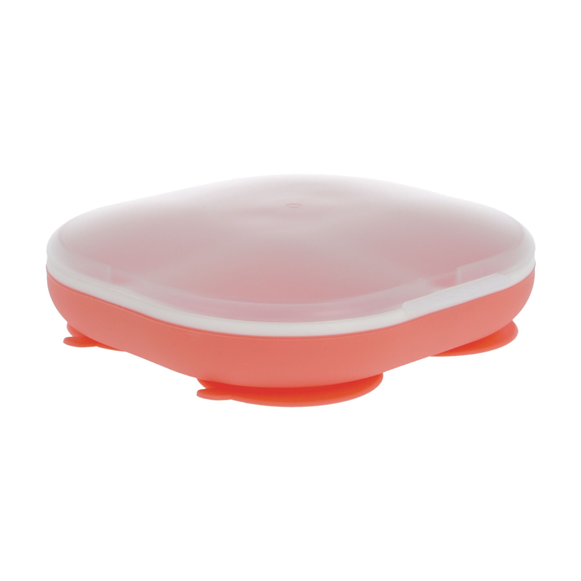 Rectangular Silicone Suction Plate (2 Pack) | Coral / Aqua #101OG