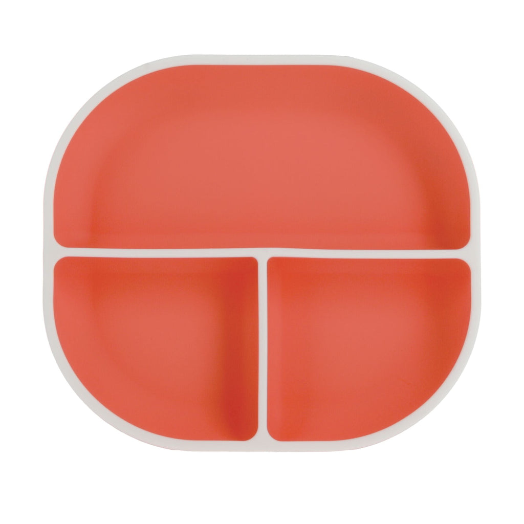 Rectangular Silicone Suction Plate (2 Pack) | Coral / Aqua #101OG