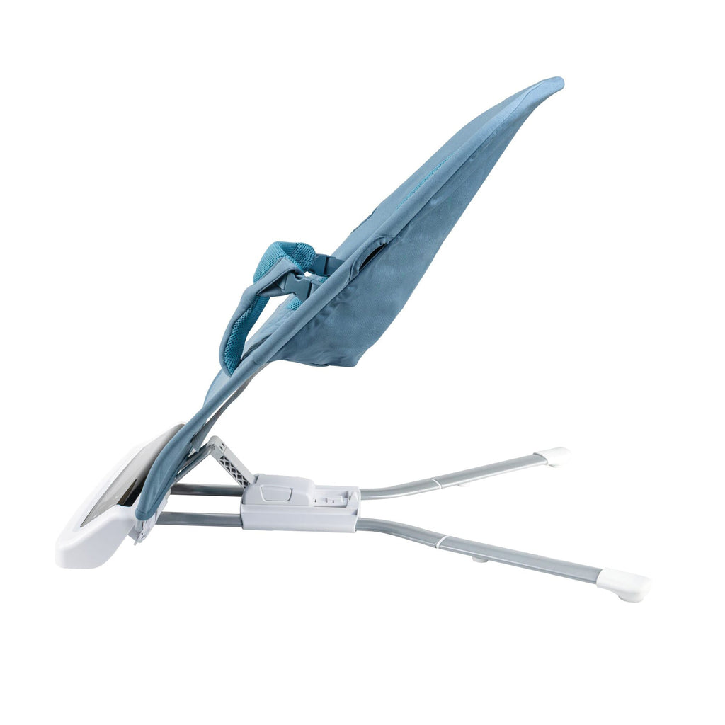 Deluxe Baby Bouncer Seat | Blue #2523M