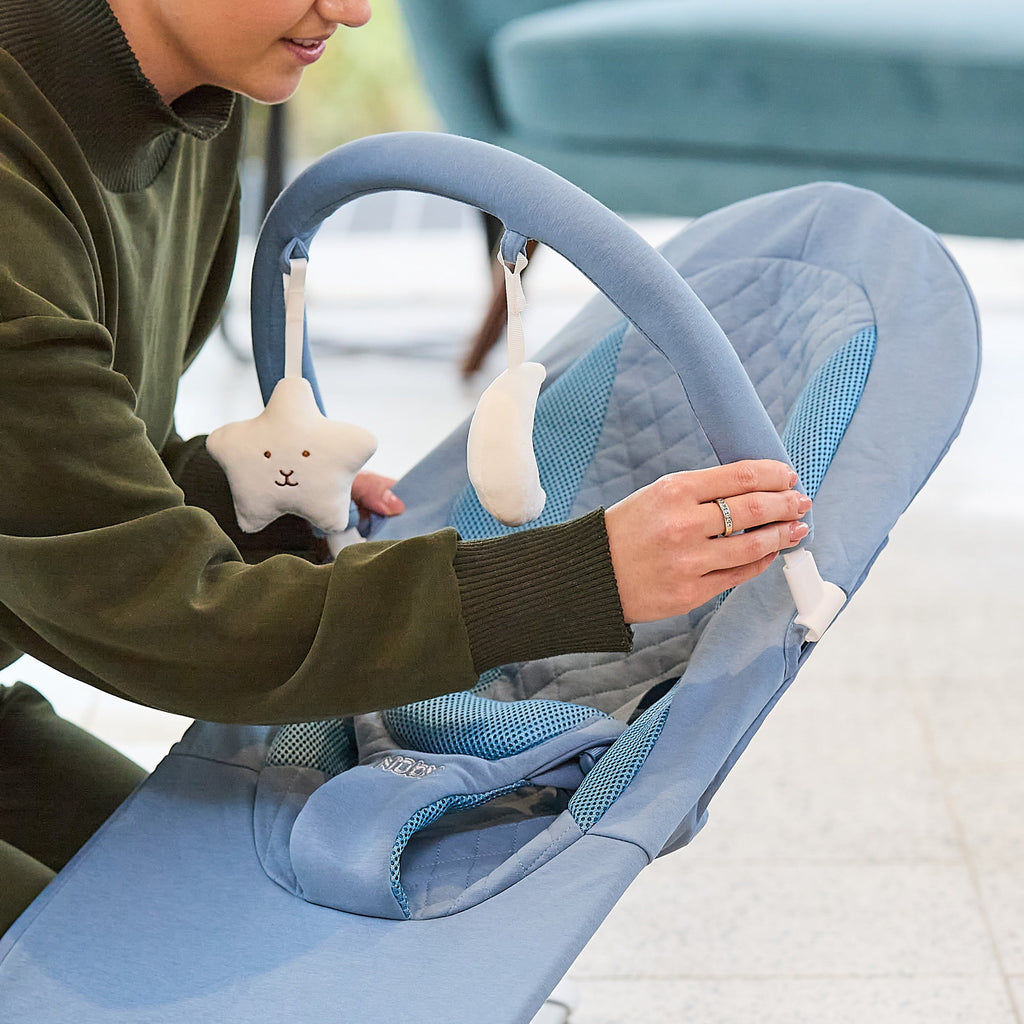 Deluxe Baby Bouncer Seat | Blue #2523M